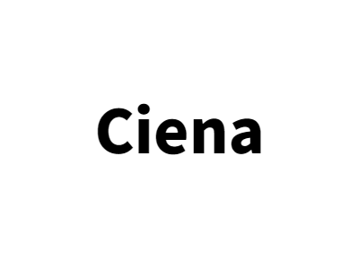 シエナ（Ciena） $CIEN